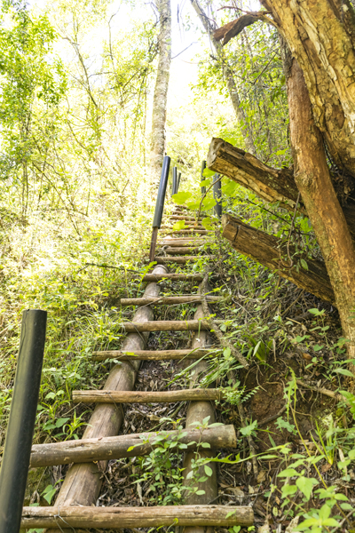 Hiking Mpumalanga
